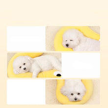 U-Shaped Pet Pillow Neck Protector, product photo 4 of 8