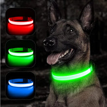 USB Charging Glowing Dog Collar, product photo 14 of 14