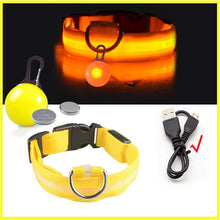 USB Charging Glowing Dog Collar