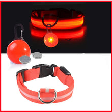 USB Charging Glowing Dog Collar, product photo 8 of 14