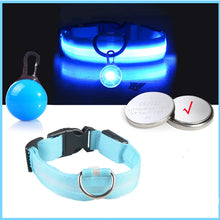 USB Charging Glowing Dog Collar in Blue Button Battery