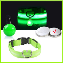 USB Charging Glowing Dog Collar in Green Button Battery