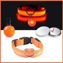 USB Charging Glowing Dog Collar in Orange Button Battery