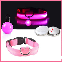 USB Charging Glowing Dog Collar in Pink Button Battery