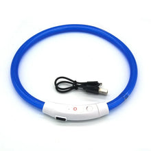 USB Rechargeable LED Dog Collar in Blue