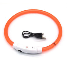 USB Rechargeable LED Dog Collar in Orange