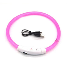 USB Rechargeable LED Dog Collar in Pink