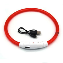 USB Rechargeable LED Dog Collar in Red