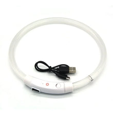 USB Rechargeable LED Dog Collar in White