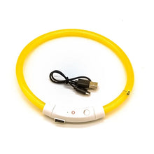 USB Rechargeable LED Dog Collar in Yellow