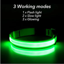 USB Rechargeable Luminous Collar, product photo 11 of 21