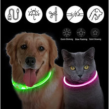 USB Rechargeable Luminous Collar, product photo 12 of 21