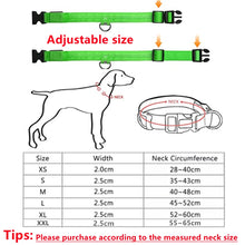 USB Rechargeable Luminous Collar, product photo 14 of 21