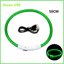USB Rechargeable Luminous Collar, product photo 7 of 21