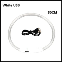 USB Rechargeable Luminous Collar, product photo 8 of 21