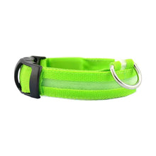 Green nylon dog collar with black buckle