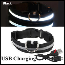 USB Rechargeable Luminous Collar in Black USB Charging