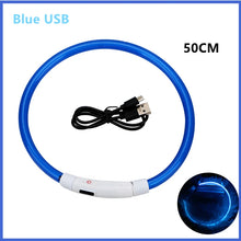 USB Rechargeable Luminous Collar in Blue USB 50CM