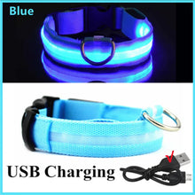 USB Rechargeable Luminous Collar in Blue USB Charging