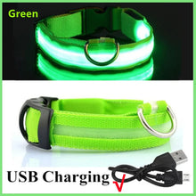 USB Rechargeable Luminous Collar in Green USB Charging