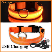 USB Rechargeable Luminous Collar in Orange USB Charging