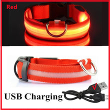 USB Rechargeable Luminous Collar in Red USB Charging