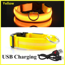 USB Rechargeable Luminous Collar in Yellow USBCharging