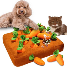 Alternate view of the Vegetable Inspired Snuffle Mat for Pets