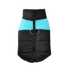 Warm Waterproof Dog Jacket in Blue