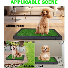 Washable Dog Grass Pad With Tray, product photo 4 of 6