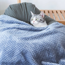 Washable Pet Blanket, product photo 3 of 13
