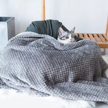 Washable Pet Blanket, product photo 4 of 13