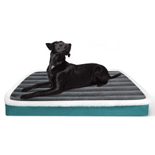 Washable Soft Orthopedic Dog Bed in Green