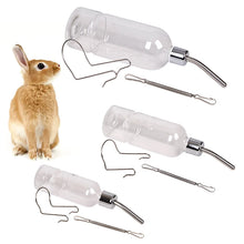 Water Bottle for Small Pets