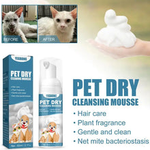 Waterless Cat Mousse Shampoo, product photo 3 of 6