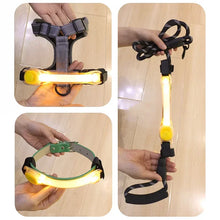 Waterproof Anti-Lost Glowing Collar, product photo 10 of 13