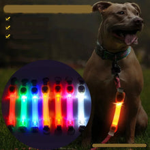 Waterproof Anti-Lost Glowing Collar, product photo 11 of 13