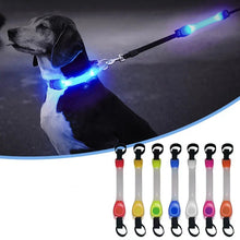 Waterproof Anti-Lost Glowing Collar, product photo 9 of 13