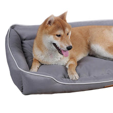 dog enjoying its bed on a white background