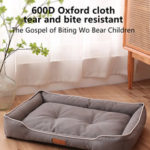 dog bed inside an apartment