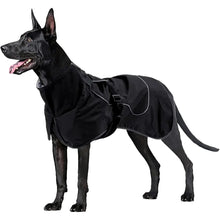 Waterproof Dog Jacket with Fleece Lining, product photo 3 of 8