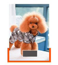 Waterproof Faux Leather Pet Hoodie, product photo 10 of 12