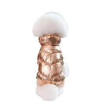 Waterproof Faux Leather Pet Hoodie, product photo 7 of 12