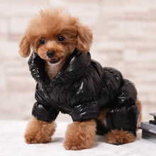 Waterproof Faux Leather Pet Hoodie in Black