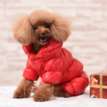 Waterproof Faux Leather Pet Hoodie in Red