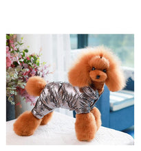 Waterproof Faux Leather Pet Hoodie in Silver