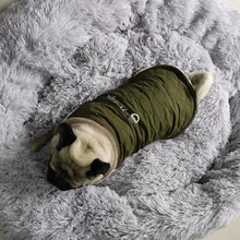 Waterproof Fur Collar Winter Dog Jacket, product photo 17 of 18