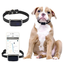 Waterproof GPS Tracker Collar in Black