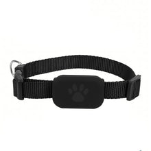 Alternate view of the Waterproof Mini Pet GPS Tracking Collar