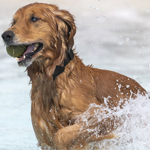Waterproof Mini Pet GPS Tracking Collar, product photo 7 of 7